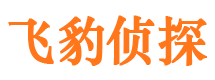 淮阳市私家侦探